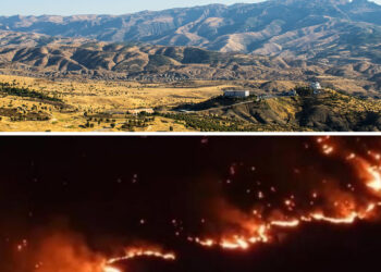 Forest fire rages on Mount Cudi, Turkish authorities accused of igniting, hindering intervention