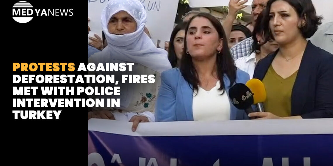 Protests against deforestation, fires met with police intervention in Turkey