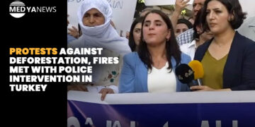 Protests against deforestation, fires met with police intervention in Turkey
