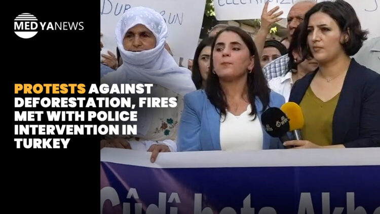 Protests against deforestation, fires met with police intervention in Turkey