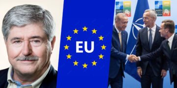 Resolution of Kurdish issue prerequisite for Turkey’s EU membership: Danish MP