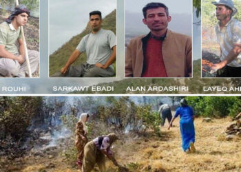 Five environmental activists arrested trying to fight forest blaze in Marivan, Iran
