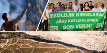 Turkey’s environmental tensions rise with mining-driven deforestation, alleged military forest fires