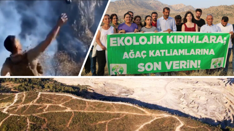 Turkey’s environmental tensions rise with mining-driven deforestation, alleged military forest fires