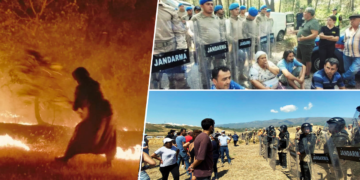 Turkey’s government-backed environmental devastation faces fierce local resistance