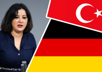 German MP Gökay Akbulut arrested entering Turkey, detained several hours