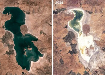 Environmental activists detained in Iran for protesting over vanishing Lake Urmia