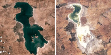 Environmental activists detained in Iran for protesting over vanishing Lake Urmia