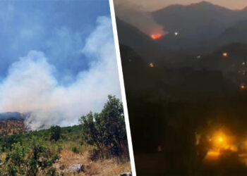Delayed official response means fires continue to ravage southeast Turkey’s Kurdish-populated regions