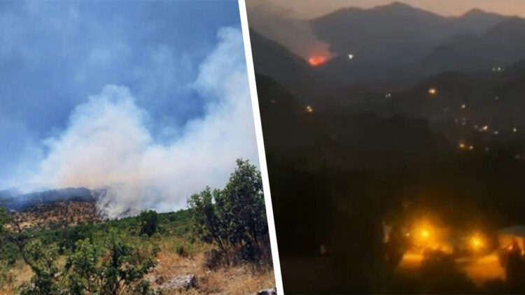 Delayed official response means fires continue to ravage southeast Turkey’s Kurdish-populated regions