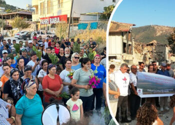 Rights watchdog: Post-earthquake housing in Turkey’s Hatay must avoid agricultural land