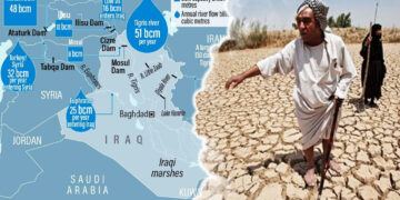 Planned Turkish dam on Tigris may harm environment, Kurdish communities