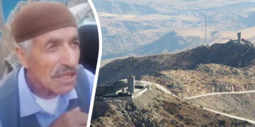 ‘Eco-crime’ as Turkish military clear forest for military base in Kurdish-majority Bingöl