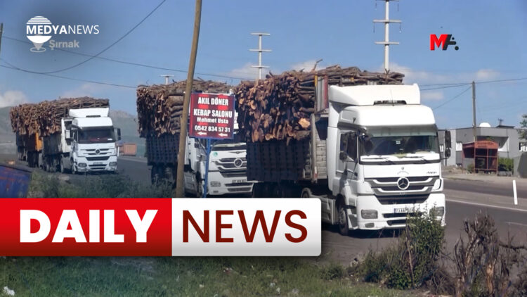 Daily News: 9 August 2023