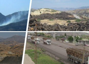 From lush forests to barren land: Oil exploration devastates Gabar Mountain in Turkey