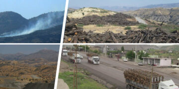 From lush forests to barren land: Oil exploration devastates Gabar Mountain in Turkey