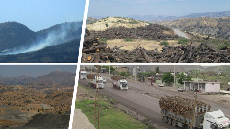 From lush forests to barren land: Oil exploration devastates Gabar Mountain in Turkey