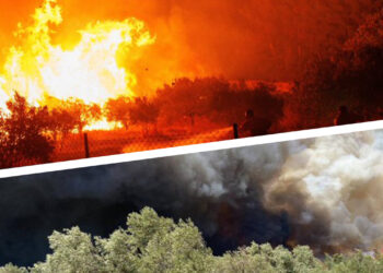 26 charred bodies, including Kurdish refugees, found amid Greece wildfires; 250 stranded in fire-affected area