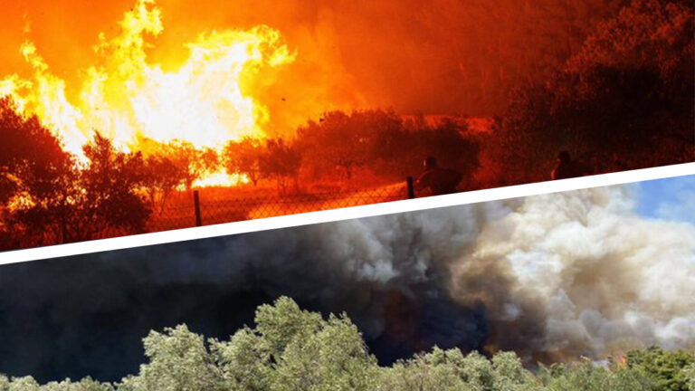 26 charred bodies, including Kurdish refugees, found amid Greece wildfires; 250 stranded in fire-affected area