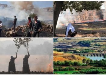 State’s ecological apparatus: An interview with Zozan Pehlivan
