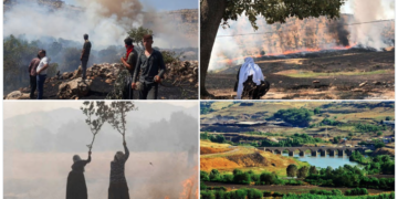 State’s ecological apparatus: An interview with Zozan Pehlivan