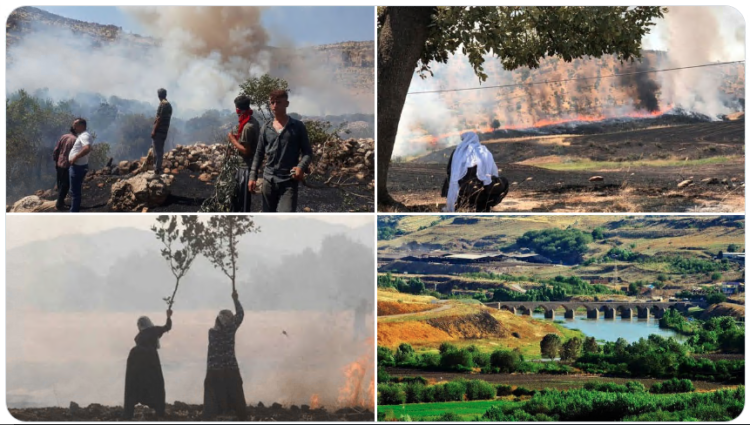State’s ecological apparatus: An interview with Zozan Pehlivan