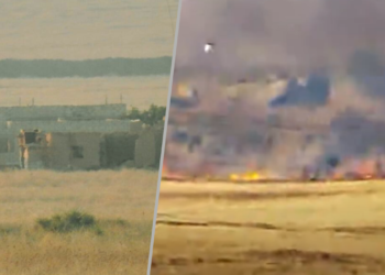 Video reveals olive tree destruction by Turkish forces in northern Syrian village