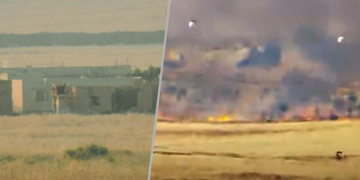 Video reveals olive tree destruction by Turkish forces in northern Syrian village