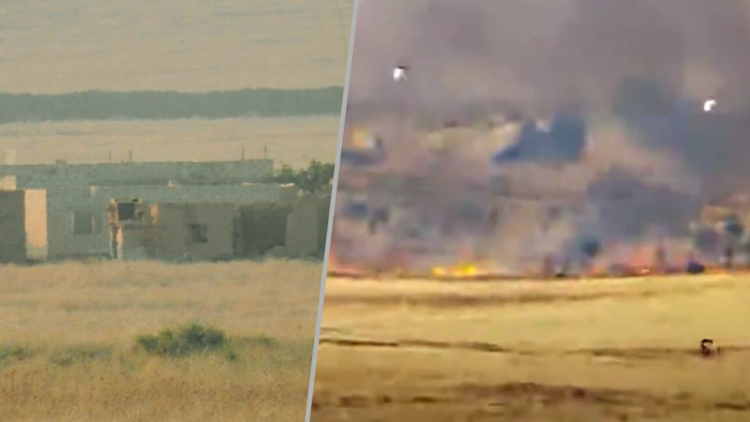 Video reveals olive tree destruction by Turkish forces in northern Syrian village