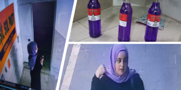 Attempted attack on pro-Kurdish party offices in Turkey thwarted by party members