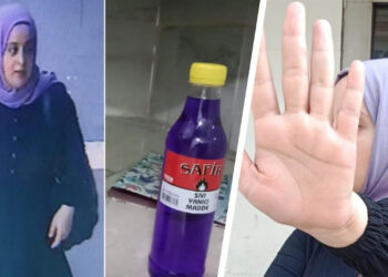 Woman attempting attack on pro-Kurdish party offices in Turkey freed under judicial control