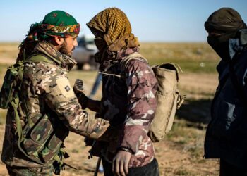 ISIS cells killed 50 people in northern Syria this year: report