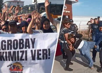 Turkish agricultural workers dismissed for joining union, amid police crackdown on direct action
