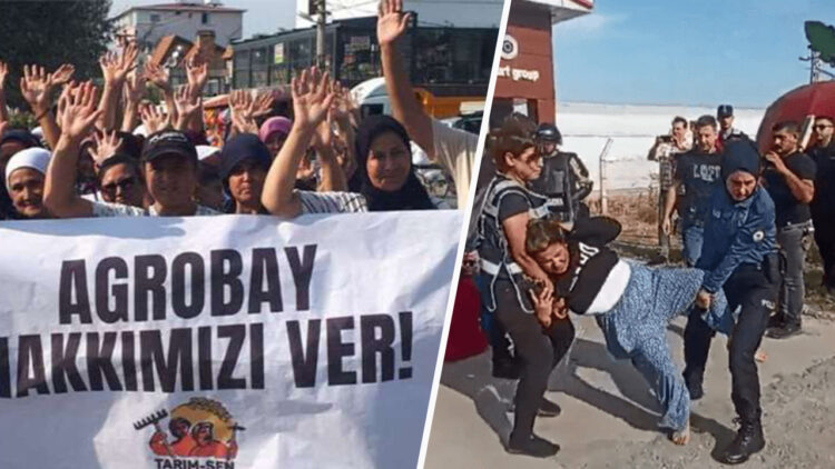 Turkish agricultural workers dismissed for joining union, amid police crackdown on direct action