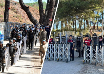 Turkish security forces dismantle Akbelen deforestation protest camp