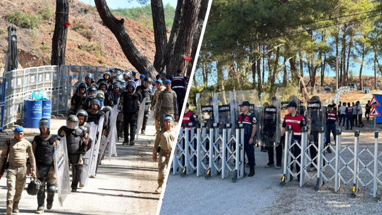 Turkish security forces dismantle Akbelen deforestation protest camp