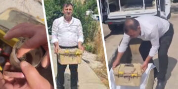 Turkey: Kurdish guerrilla’s remains delivered to family in box after three years