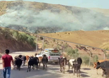 Military build-up, evacuations as Turkey-PKK clashes intensify in Iraqi Kurdistan’s Sidekan region