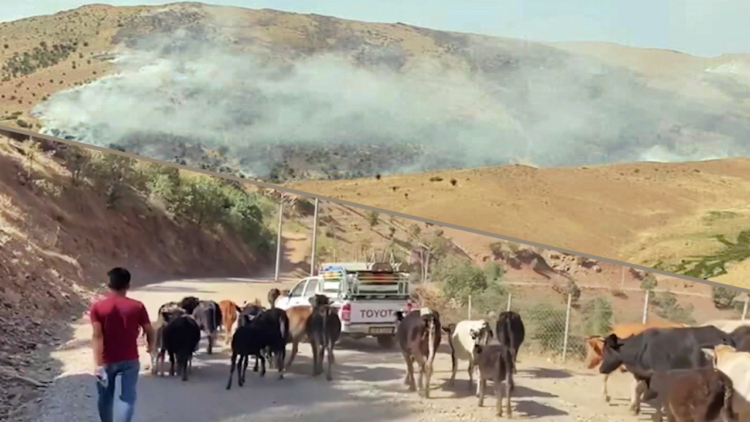 Military build-up, evacuations as Turkey-PKK clashes intensify in Iraqi Kurdistan’s Sidekan region