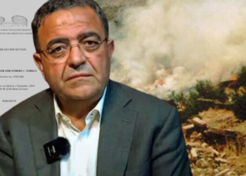 Turkish MP stands firm on criticism of Turkey’s human rights abuses despite investigation, party disapproval