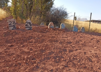 Turkey: Fallen Kurdish guerrillas buried in cemetery for unclaimed bodies