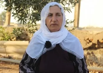 Turkey: Kurdish woman, 63, severely beaten in custody
