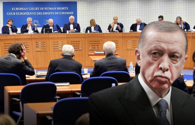 Erdoğan doubles down against international criticism, rebuffs European Court rulings as political