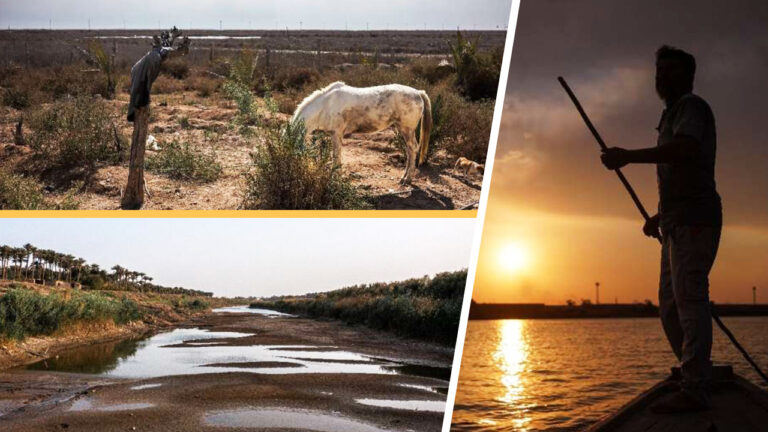 Endangered fish species in the Tigris, Euphrates rivers face increased threats from pollution, dams