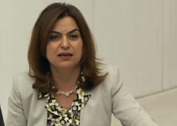 Kurdish MP slams Turkish government for advocating peace, ‘other than for Kurds’