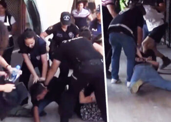 International delegation arrested in Turkey over anti-airstrike protest