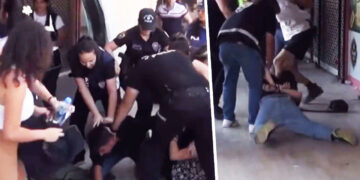 International delegation arrested in Turkey over anti-airstrike protest