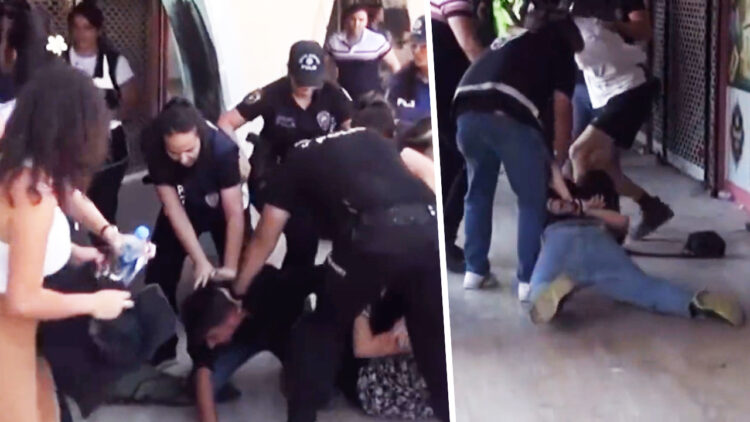 International delegation arrested in Turkey over anti-airstrike protest