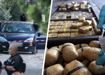 Operations unveil extent of organised crime in Turkey