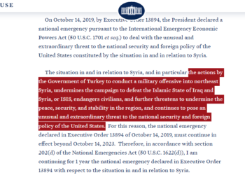 US labels Turkey’s actions in Syria as major threat to national security, regional stability